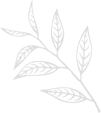 hero leaf 3