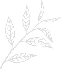 hero leaf 2